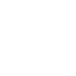 cyber security icon