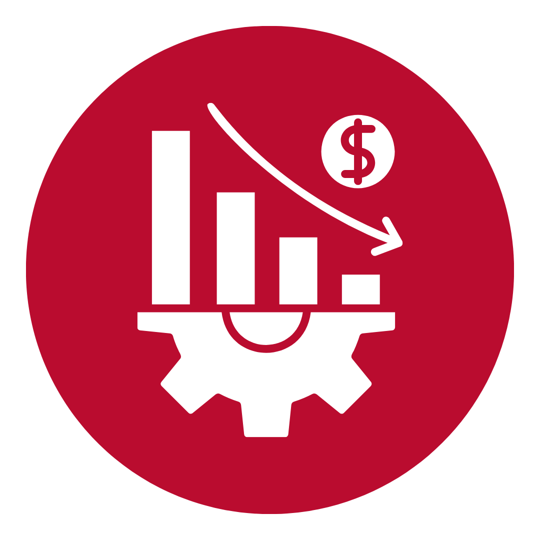 Access & Cost Control Icon