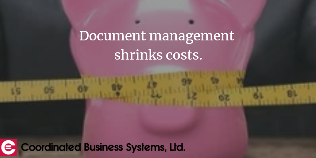 5.dm shrinks costs pig